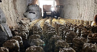 Kayadan oyma mağaralarda depolanan patatesler 5 ülkeye ihraç ediliyor