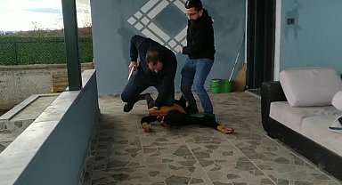 Kırıkkale'de cezaevinden firar etti, Konya'da yakalandı