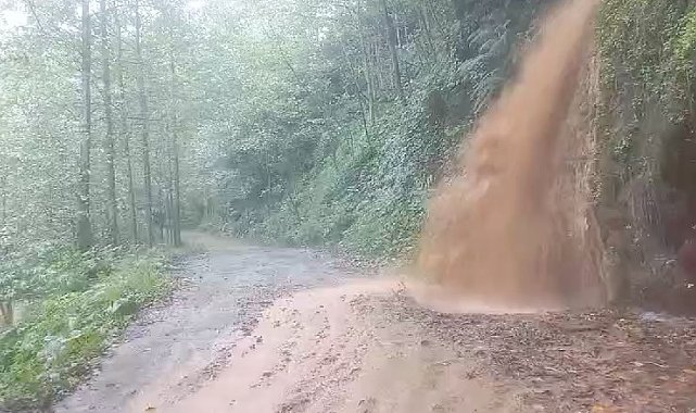 Rize heyelan köy yolunu kapattı; taş duvarın yıkılma anı kamerada