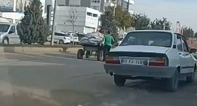 Şanlıurfa'da ata eziyet kamerada