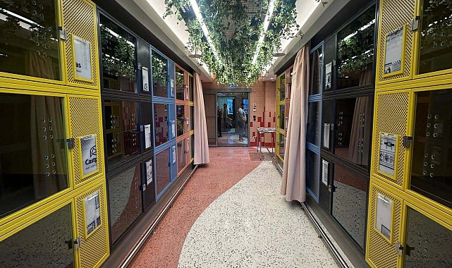 THY, İstanbul Havalimanı'nda "Pet Lounge" hizmete açtı