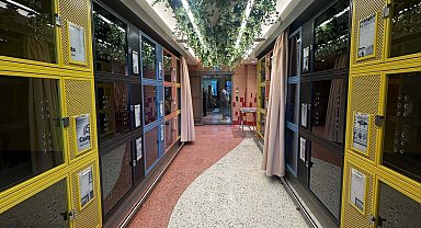 THY, İstanbul Havalimanı'nda "Pet Lounge" hizmete açtı