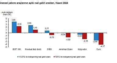 TÜİK: Aylık en yüksek reel getiri BIST 100 endeksinde gerçekleşti