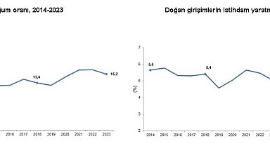 TÜİK: Geçen yıl doğan girişimlerin istihdam payı yüzde 5 oldu