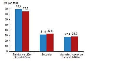 TÜİK: Tahıl üretimi azaldı, sebze ve meyve üretimi arttı