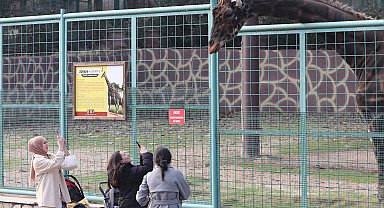 Türkiye'nin en büyük hayvanat bahçesinde tüm zamanların ziyaretçi rekoru kırıldı