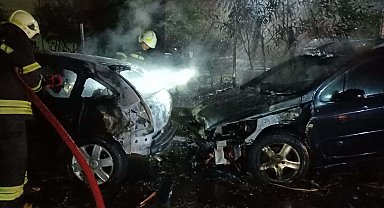 Yıldırım düşen ağacın altındaki 2 otomobil alev aldı