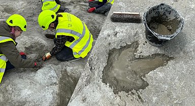 İngiltere'de 166 milyon yıllık dinozor ayak izleri keşfedildi
