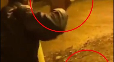 Kediyi parke taşıyla yaraladı