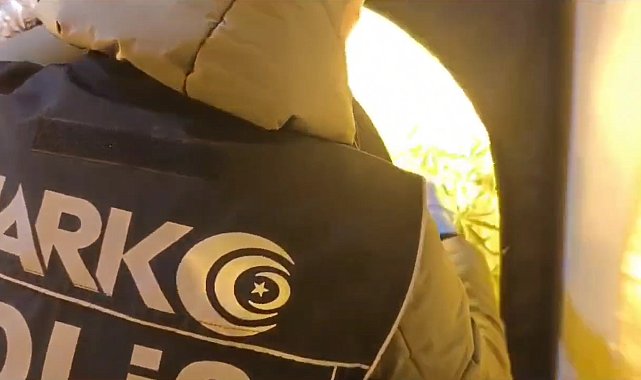 Eve uyuşturucu serası kurmuş