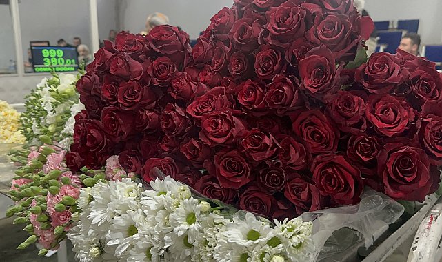 Yalova'da çiçek mezadında '14 Şubat' yoğunluğu; gül stoku biten çiçekçiler mezada koştu