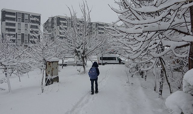 Bitlis'te kar yağışı; 80 köy yolu kapandı