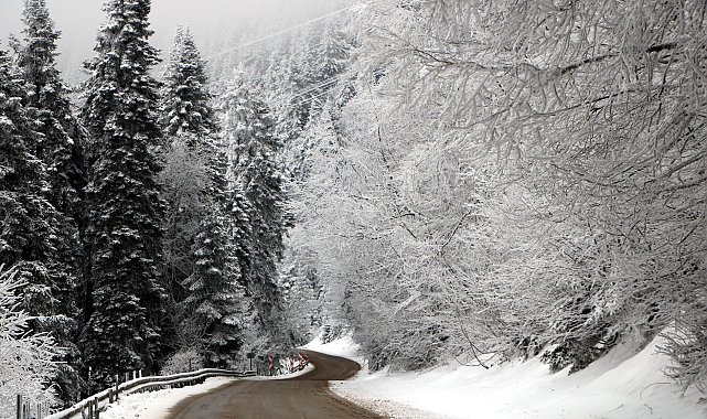 Bolu'nun yayla ve ormanlarında kar güzelliği