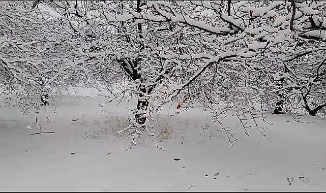 Elazığ'da kar yağışı etkili oldu