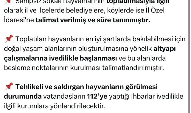 Yalova Valiliği'nden sahipsiz sokak hayvanlarının toplatılmasına ilişkin açıklama