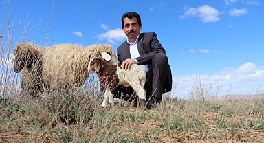 Yaman'dan üreticilere kongre daveti