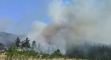 Çanakkale'de orman yangını