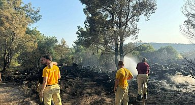 Mangal yaparken ormanı yakmış; tutuklandı