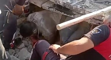 Şanlıurfa'da istinat duvarı çöktü; 4 işçi yaralandı