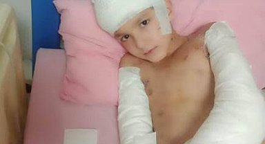 Sokak köpeklerinin saldırdığı Tunahan'ın davasında sanıkların beraatine savcılıktan itiraz