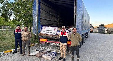 Van'da 19 ton ölü inci kefali ele geçirildi
