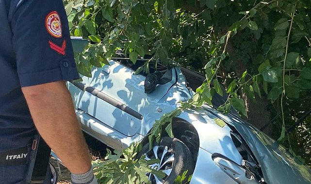 Otomobil ağaca çarptı; sürücü yaralandı, oğlu ve kayınvalidesi öldü