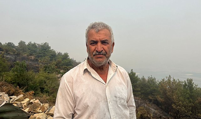 Sakarya'daki orman yangını 3'üncü gününde