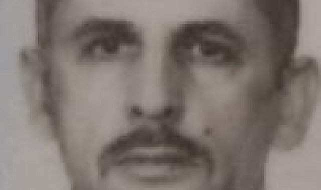 Ceviz toplamak için çıktığı ağaçtan düşüp öldü