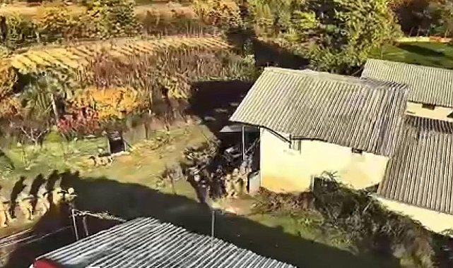 Bağ evinde saklanan firari hükümlüye jandarmanın operasyonu dron kamerasında