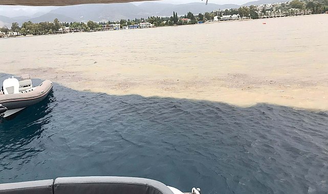 Bodrum'da sağanak; 1 evi su bastı, yollar göle döndü
