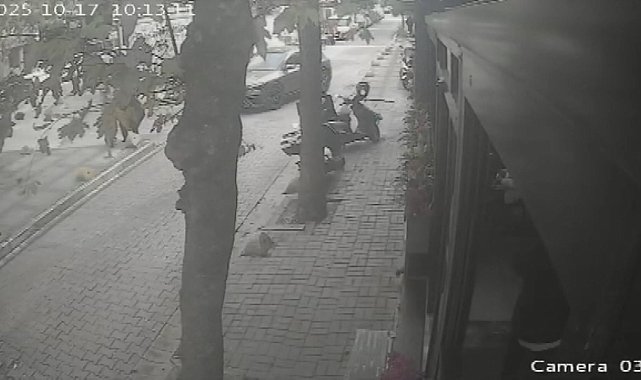 -İstanbul - Bakırköy'de sokakta kedi besleyen iş insanını, yolu kapattığını öne sürerek darbetti