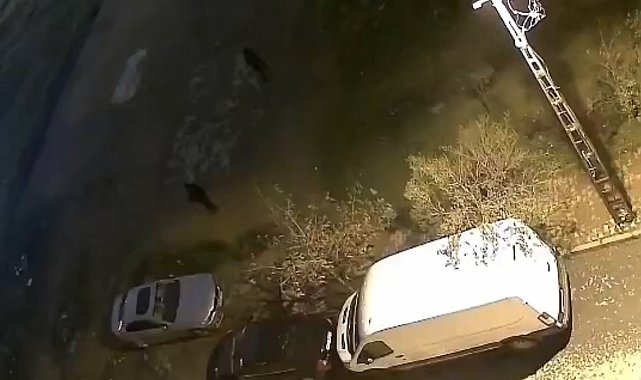 İstanbul- Sultangazi'de park halindeki otomobili yaklaşık 2 dakikada soydular; hırsızlık kamerada