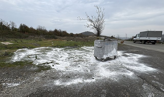 Samsun'da ölü bulunan 9 köpekten alınan doku örnekleri teste gönderildi