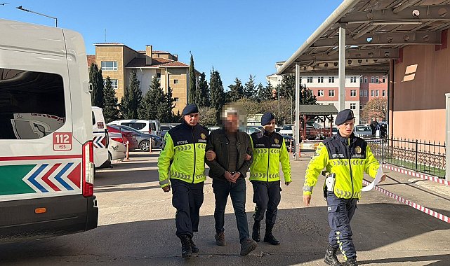 Durdurulan araçtan 15 kaçak göçmen yakalandı