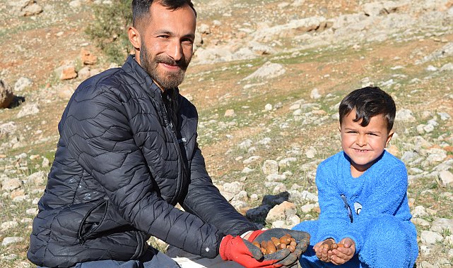 Küresel ısınmaya karşı 2 yılda 20 binden fazla tohum ekip, fidan dikti