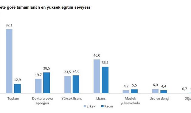 TÜİK: Teknogirişim ortaklarının yüzde 12,9'u kadın