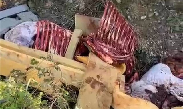 At kestikleri öne sürülen 2 şüpheli, operasyonla yakalandı
