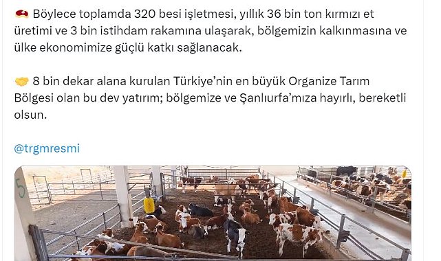 Bakan Yumaklı: Şanlıurfa'da bu yılın ilk yarısında 150 besi işletmesi daha faaliyete geçecek