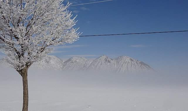Bitlis'te sis etkili oluyor