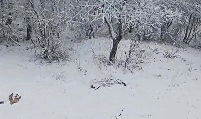 Çanakkale'nin yüksek kesimlerinde kar yağışı
