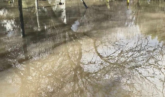 Çeşme'de sağanak etkili oldu; pazaryeri ve mezarlık su altında kaldı