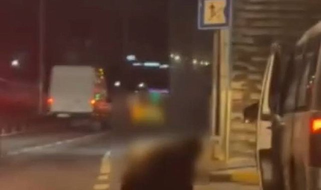 İstanbul - Küçükçekmece'de hafif ticari araç park halindeki minibüslere çarptı; sürücüsü yere yığıldı