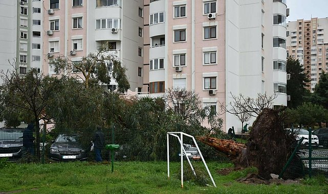 İzmir'de sağanak etkili oldu