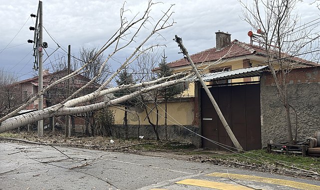 Kütahya'da kuvvetli fırtına nedeniyle ağaçlar devrildi