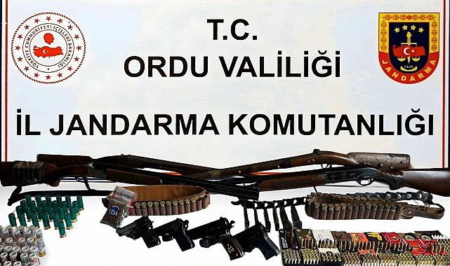 Ordu'da silah ve uyuşturucu operasyonu