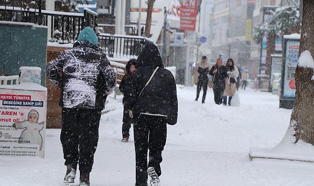 Van'da 363 yerleşim yeri ulaşıma kapandı