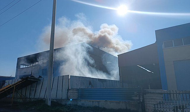 İzmir'de geri dönüşüm fabrikasında yangın