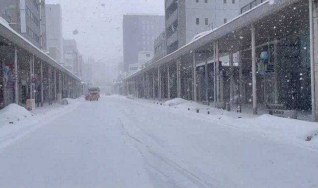 Japonya'da yoğun kar yağışı nedeniyle hayatını kaybedenlerin sayısı 45'e yükseldi