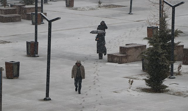Van'da kar ve sis etkili oldu; 141 yerleşim yerine ulaşım sağlanamıyor