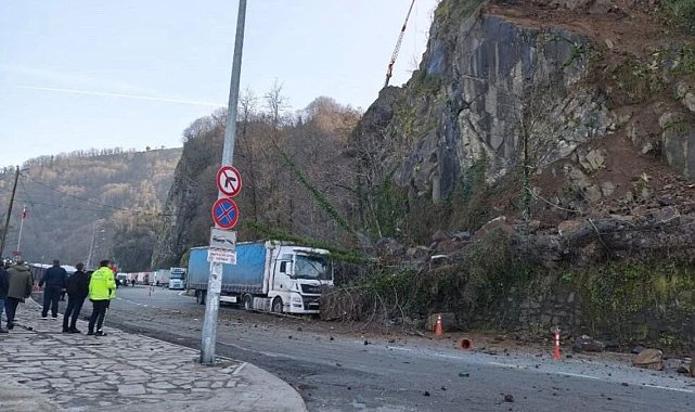 Artvin'de heyelan; TIR hasar gördü